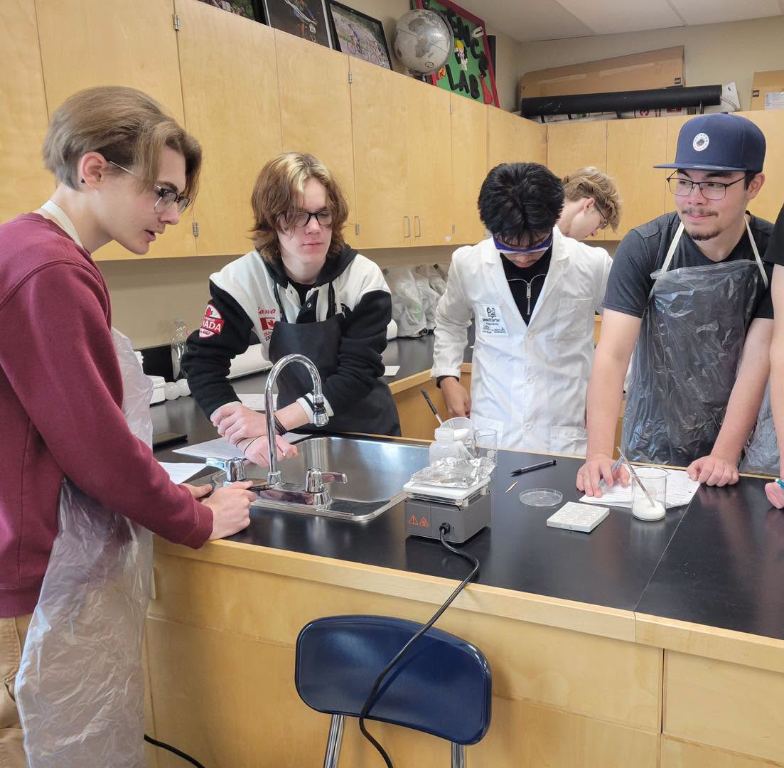 collaborative learning